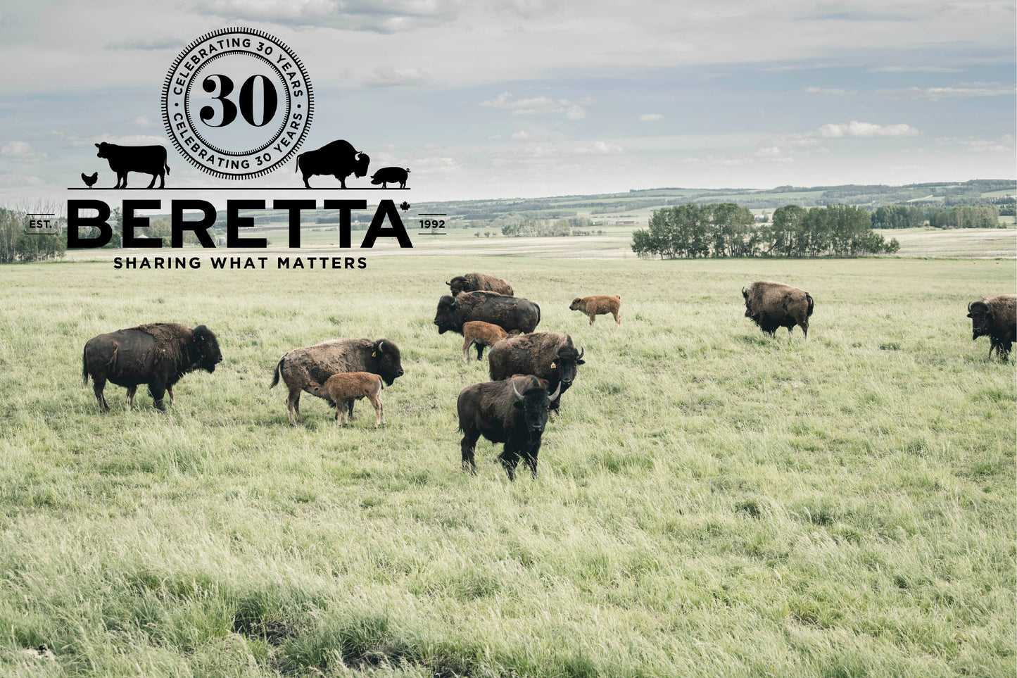 Beretta, 30 Years Young