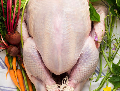 Tasty Turkey Tips