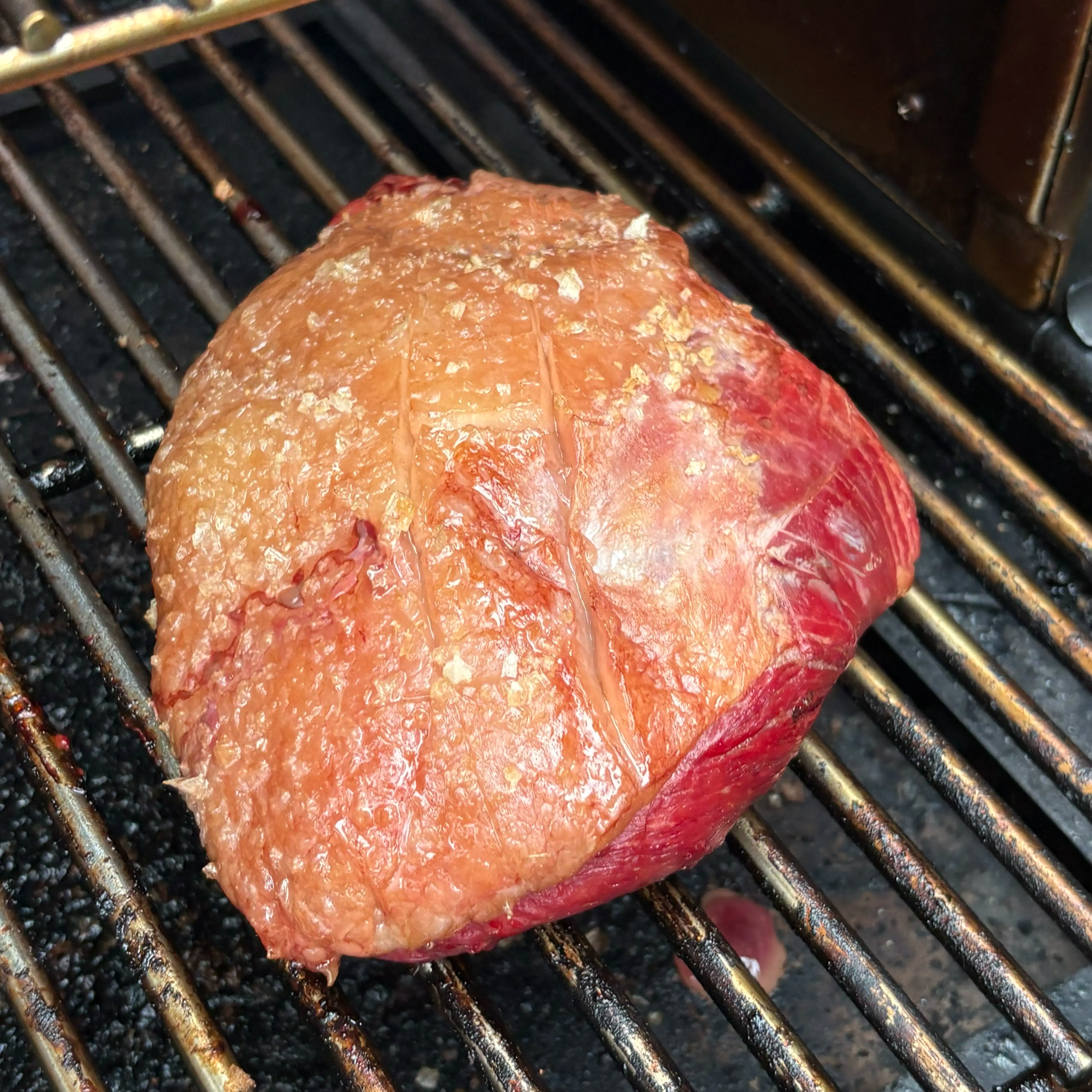Whole Bison Picanha Steak: RWA Grass Fed Bison *FRESH*