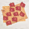 Bison Stewing Meat (10 Packs): RWA Grass Fed Bison