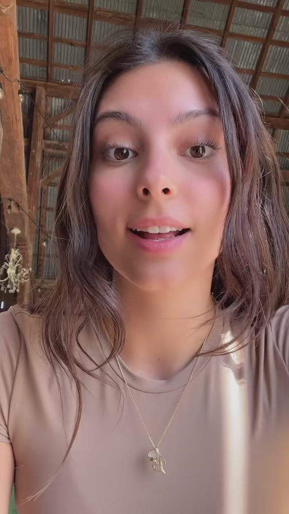 Grass Fed Beef Tallow